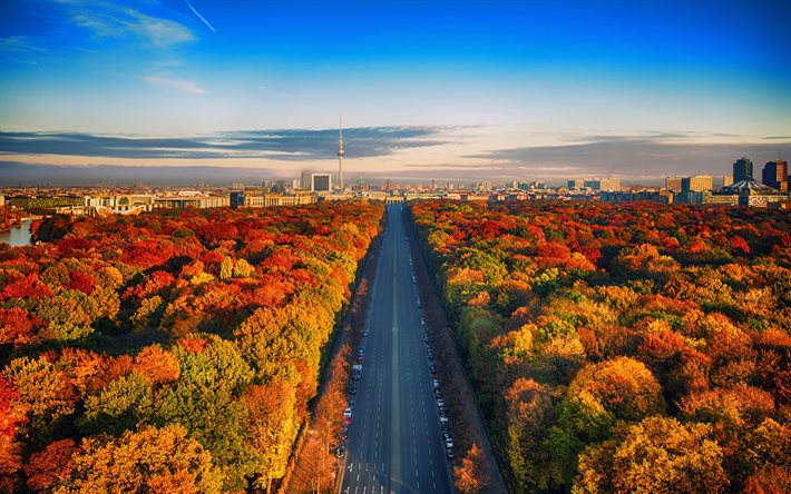 베를린, 4k, 숲, 도로, 가을, 독일