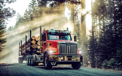 Western Star 49X, 4k, woodworking, 2020 trucks, special equipment, 2020 Western Star 49X, timber industry, HDR, Western Star