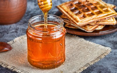 4k, honung, sötsaker, burk honung, träpinne för honung, honungsproduktion, lind honung, belgiska våfflor, honung koncept