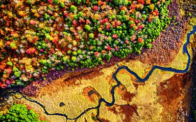 Ricketts Glen State Park, 4k, aerial view, autumn, river, forest, Benton, Pennsylvania, USA, America