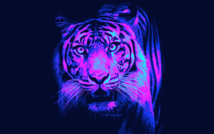 4k, abstrakt tiger, violett bakgrund, cyberpunk, abstrakta djur, konstverk, vilda djur, rovdjur, tiger, panthera tigris, tigrar, tiger cyberpunk, bild med tiger, kreativ