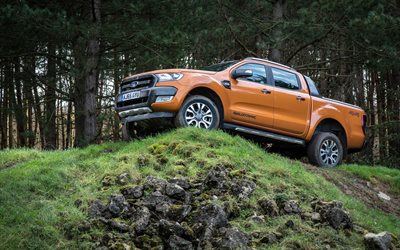 Ford Ranger Wildtrak, forêt, orange, SUV
