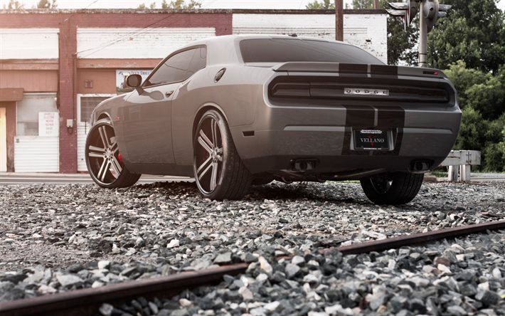 Dodge Challenger, pietrisco, fuoristrada, supercar, muscle cars, tuning, Dodge