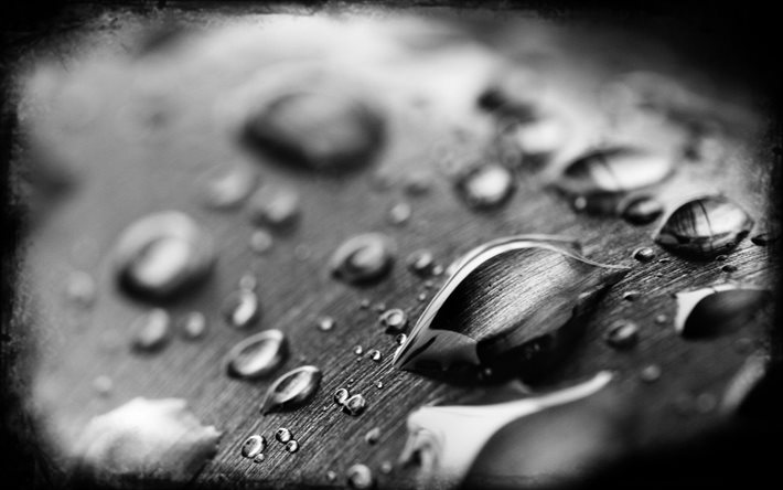 drop, black & white photo, macro, water