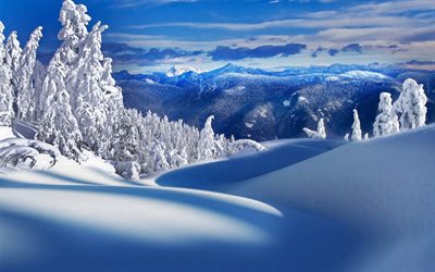 backarna, snön, bergen, vintern, kanada