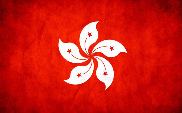 hong kong flan, doku bayrakları