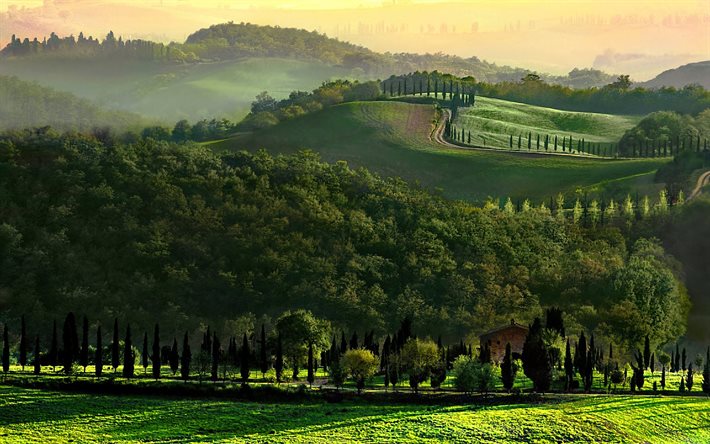 hills, tuscany, morning, italy, road