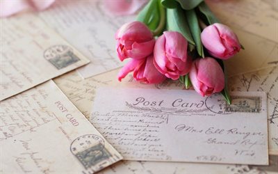 los tulipanes, cartas, flores