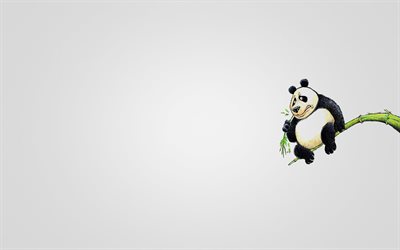 panda, la sucursal, el minimalismo