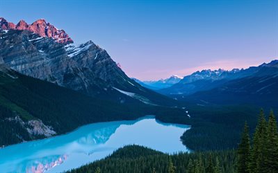 peyto湖, カナダ, バンフ, 山々, 夕方の風景