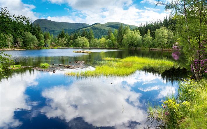 the lake, forest, mountains, scotland