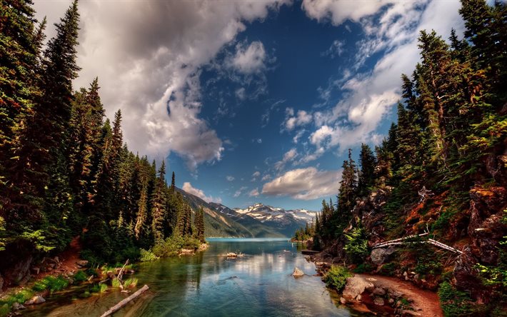 البحيرة, سجلات, الجبال, الغابات, كندا