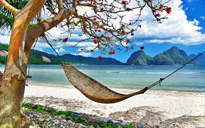 the beach, hammock, sea, tropics