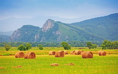 hay, field, bales, mountains