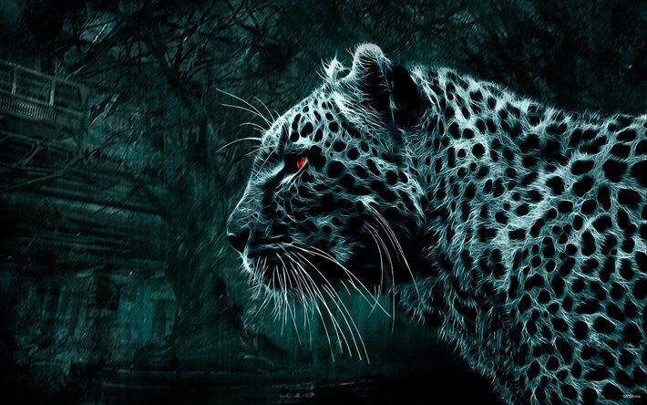 leopard, abstraktion, kreativ
