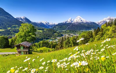 montanha watzmann, bayern, berchtesgaden, verão, alemanha, montanhas, alpes