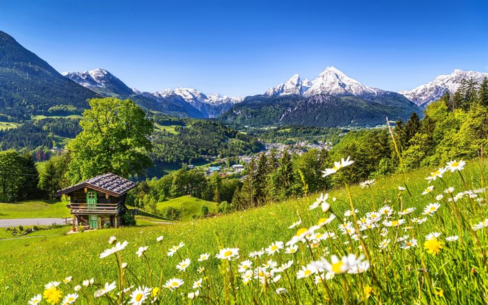watzmann mountain, bayern, berchtesgaden, summer, germany, mountains, alps