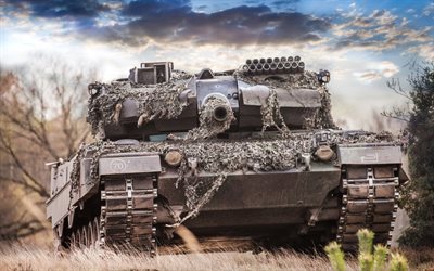 tank, leopard 2a6m, varil