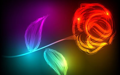 flowers, neon light, rose, abstraction