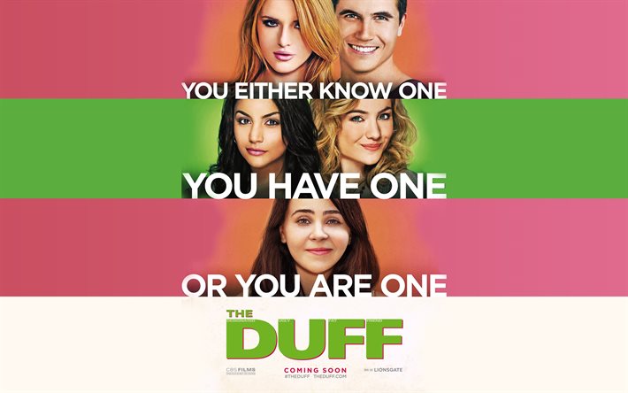 poster, plain, the duff