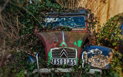 abandoned car, surrealism, citroen