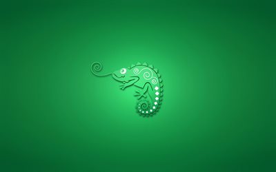 chameleon, green background, minimalism, hameleon