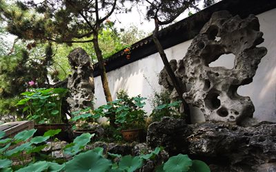 kinesisk trädgård, staketet, växter