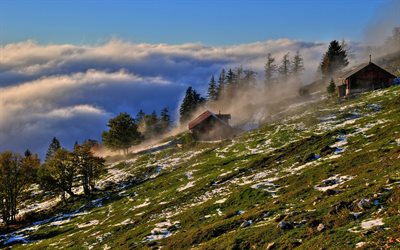 salzburg, österrike, dimma, bergets sluttning