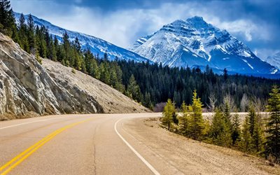 montagna, strada, parco nazionale di jasper, canada