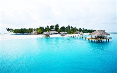 seychelles, en el océano, costa, bungalow, islas seychelles