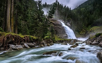 skog, krimml, salzburg, österrike, vattenfall