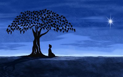 la meditación, paisaje, noche, árbol