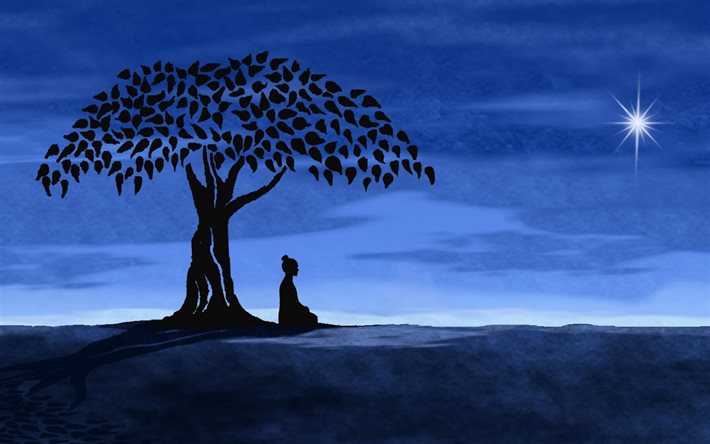meditasyon, manzara, gece, ağaç
