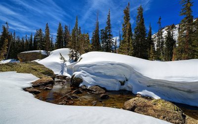 눈, 드리프트, 겨울, rocky mountain, 미국