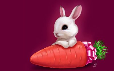 la carota, il coniglio bianco, creativo