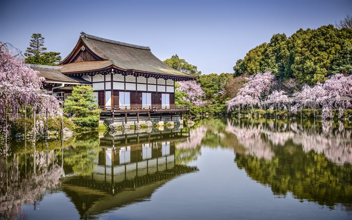 kyoto, japan, heian-helgedomen, heian jingu, sakura, sjön