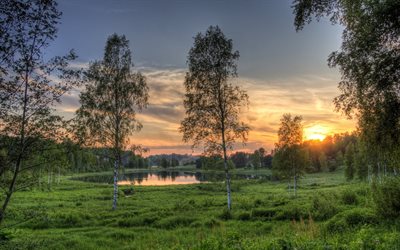 bétula, o lago, estônia, pôr do sol