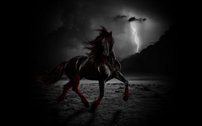 la noche, el caballo, el de la fantasía