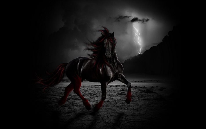 noite, cavalo, fantasia