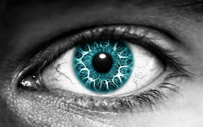 olhos azuis, pessoas, macro