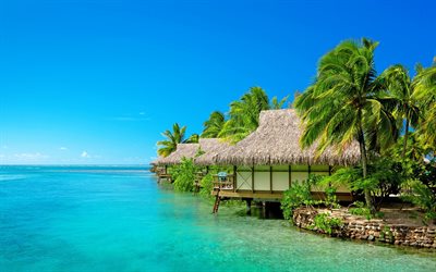 resort, egzotik, deniz, tropik, tatil
