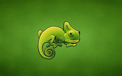 green background, chameleon
