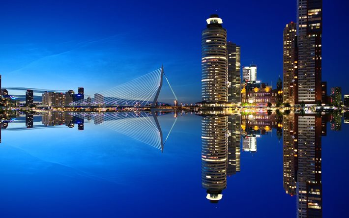 로테르담, 4k, 에라스무스 브리지, 밤, 고층 빌딩, 네덜란드