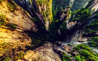 岩, 上面図, 山, zhangjiajie国立森林公園, 森林公園, zhangjiajie, 湖南省, 中国