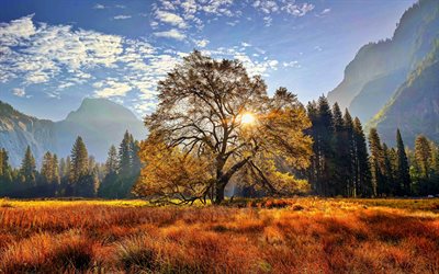 4k, parque nacional de yosemite, outono, sol brilhante, árvore, vale, montanhas, rio, califórnia, américa, eua, natureza bela, marcos americanos