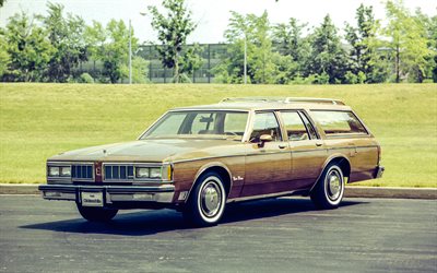 1981, incrociatore personalizzato oldsmobile, vista frontale, esterno, auto famigliare, incrociatore personalizzato marrone, auto retrò, auto d'epoca americane, oldsmobile