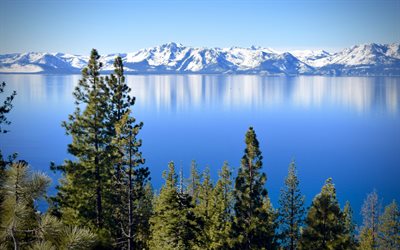 Tahoe Gölü, yaz, dağlar, çam, Amerika, Kaliforniya, ABD