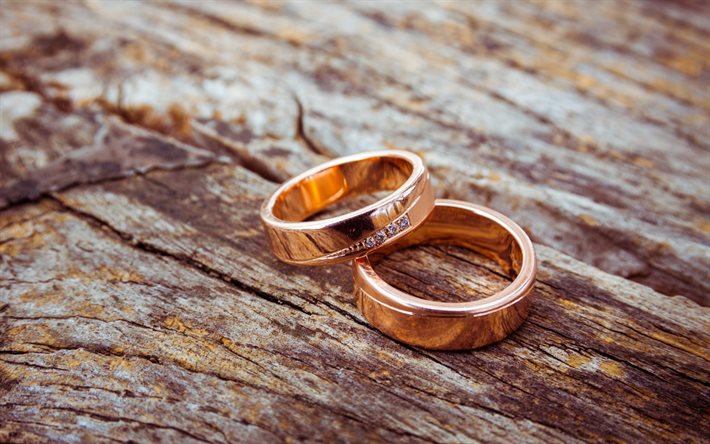 anel de ouro, anéis de casamento, ouro, madeira, anéis