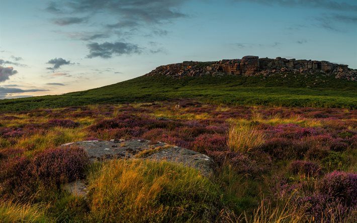 مساء, غروب الشمس, التلال, العشب الأخضر, المملكة المتحدة, ذروة منطقة الحديقة الوطنية