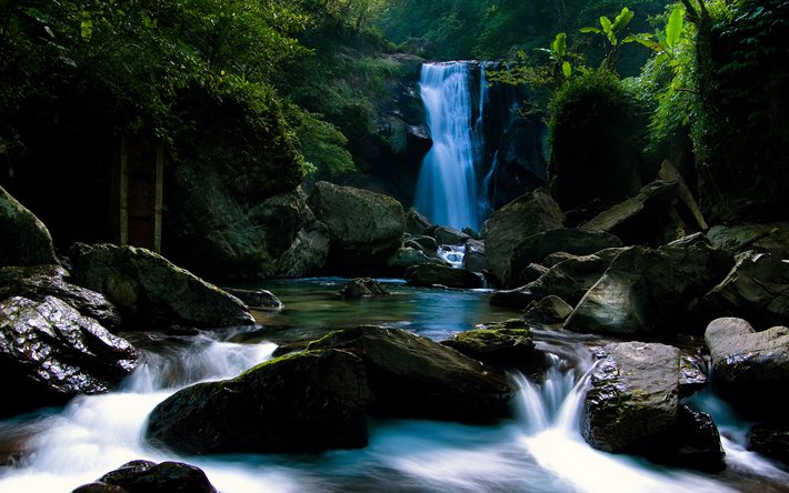 forest, river, waterfall, rocks, stones, trees, beautiful waterfall